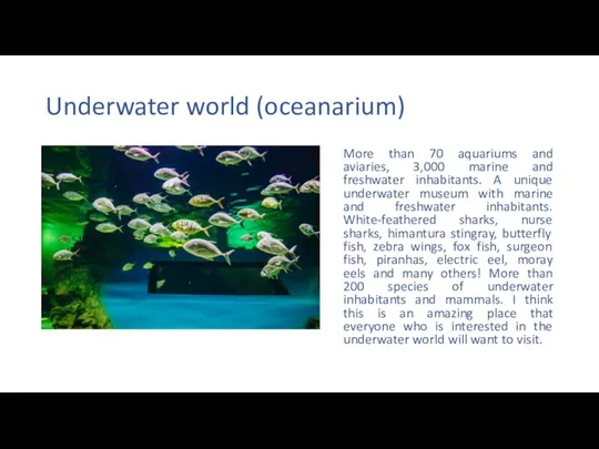 Underwater world (oceanarium) More than 70 aquariums and aviaries, 3,000 marine