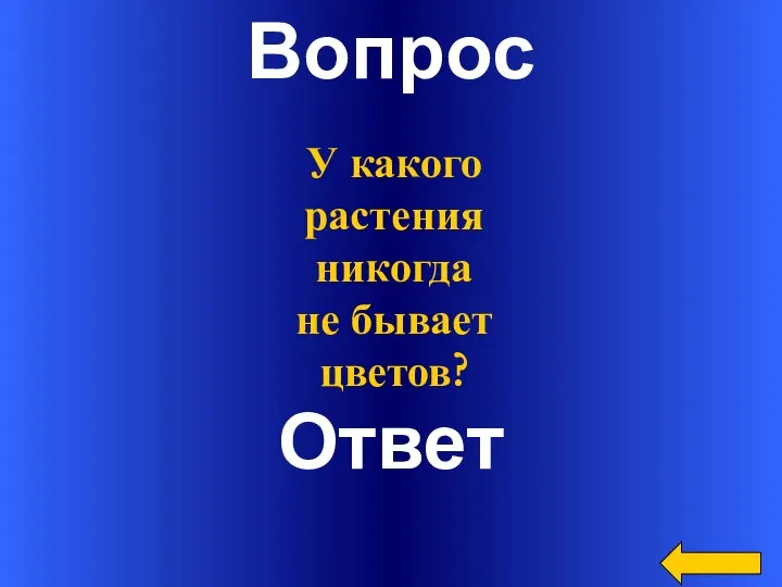 Вопрос Ответ У какого растения никогда не бывает цветов?