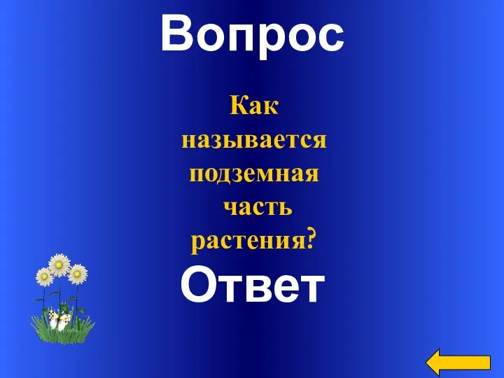 Вопрос Ответ Как называется подземная часть растения?