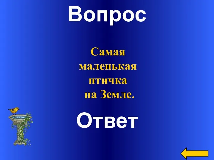 Вопрос Ответ Самая маленькая птичка на Земле.