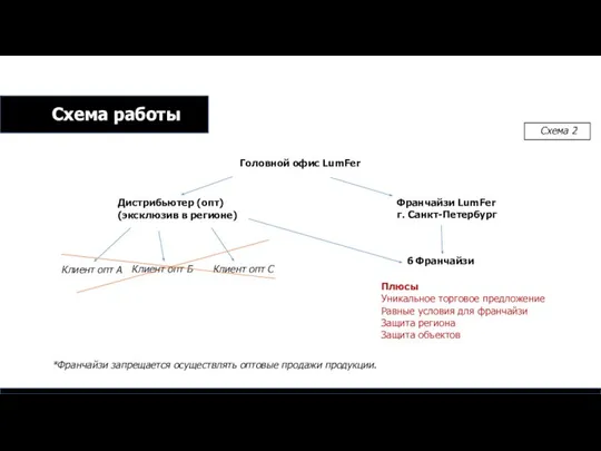 Головной офис LumFer Франчайзи LumFer г. Санкт-Петербург Дистрибьютер (опт) (эксклюзив в