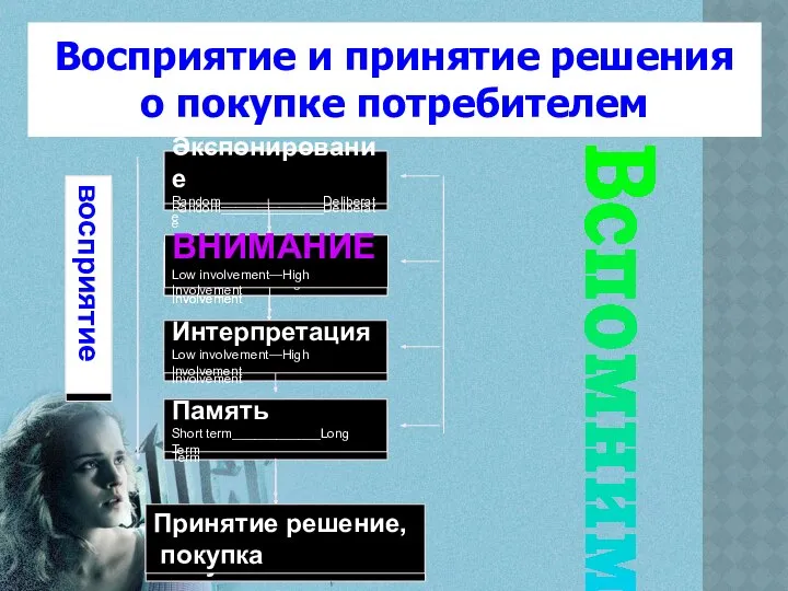 Восприятие и принятие решения о покупке потребителем Экспонирование Random______________Deliberate ВНИМАНИЕ Low