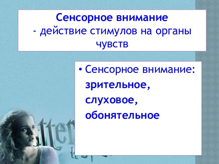 Сенсорное внимание - действие стимулов на органы чувств Сенсорное внимание: зрительное, слуховое, обонятельное