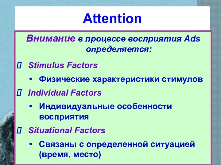 Attention Внимание в процессе восприятия Ads определяется: Stimulus Factors Физические характеристики