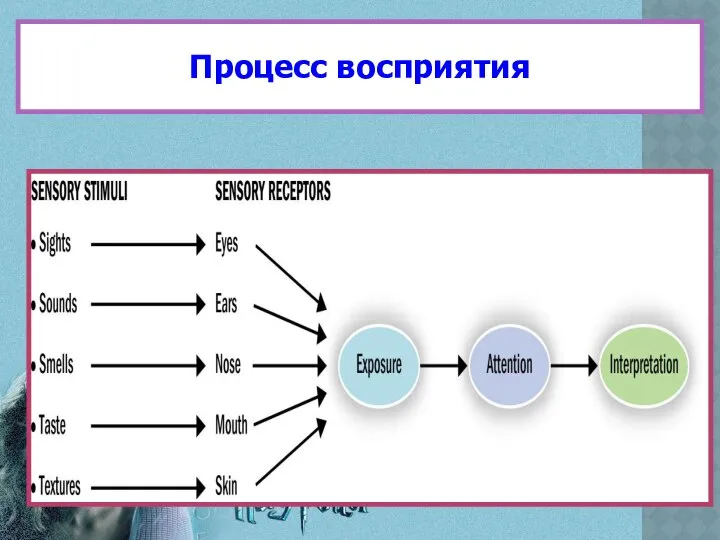 Процесс восприятия