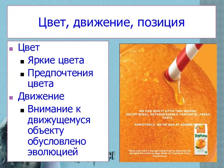 Цвет, движение, позиция Цвет Яркие цвета Предпочтения цвета Движение Внимание к движущемуся объекту обусловлено эволюцией