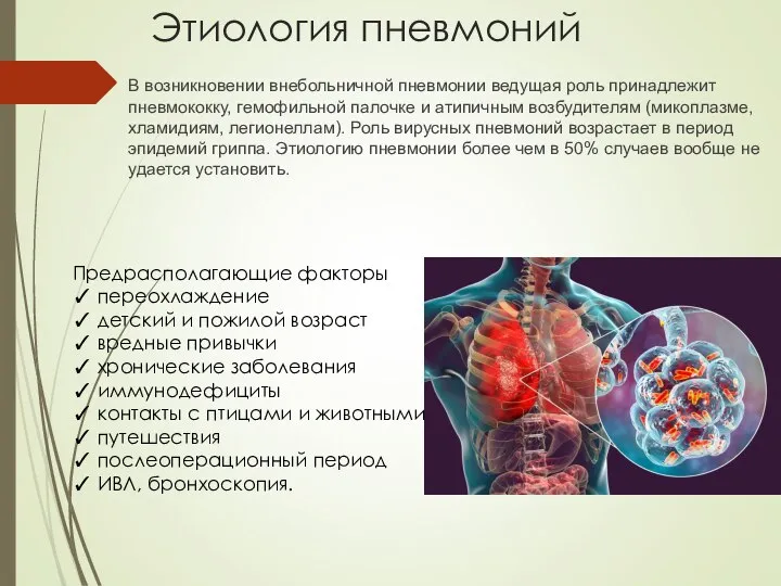 Этиология пневмоний В возникновении внебольничной пневмонии ведущая роль принадлежит пневмококку, гемофильной