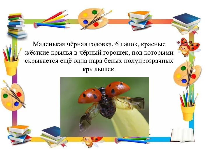 Маленькая чёрная головка, 6 лапок, красные жёсткие крылья в чёрный горошек,