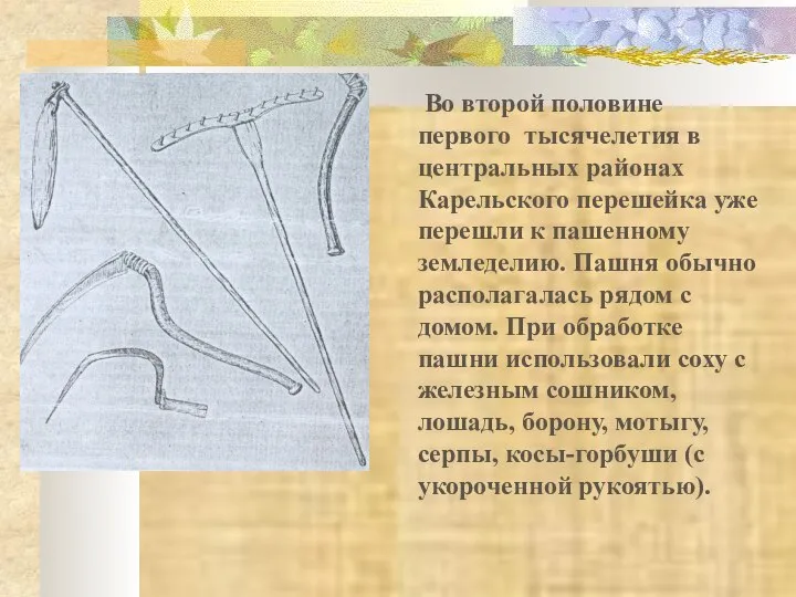 Во второй половине первого тысячелетия в центральных районах Карельского перешейка уже