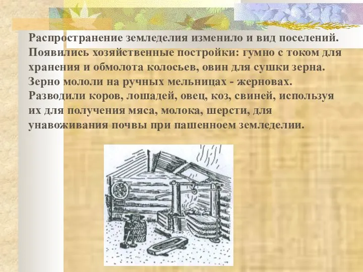 Распространение земледелия изменило и вид поселений. Появились хозяйственные постройки: гумно с