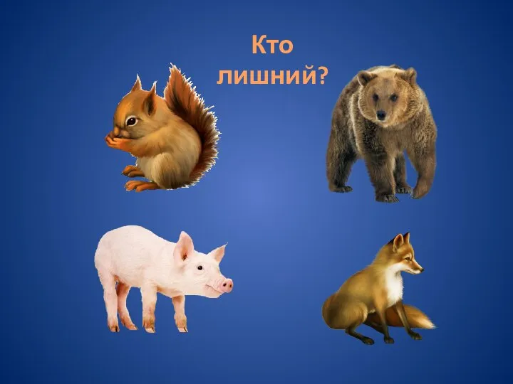 Кто лишний?