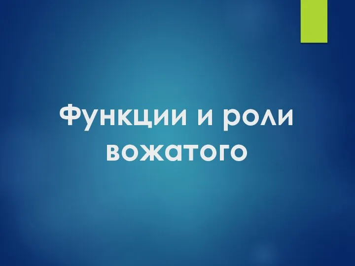 Функции и роли вожатого