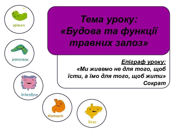 Епіграф уроку: «Ми живемо не для того, щоб їсти, а їмо