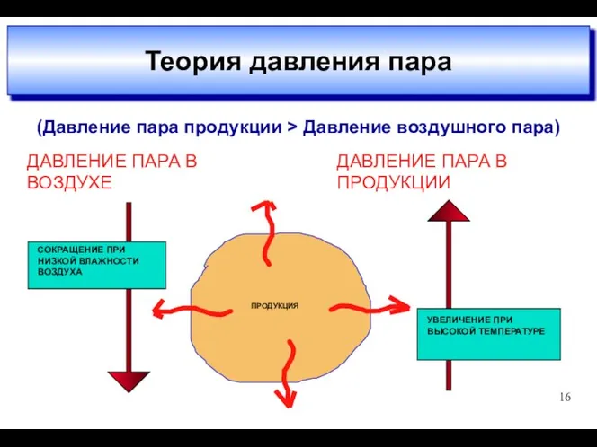 Typical Drying Process Issues Теория давления пара 16