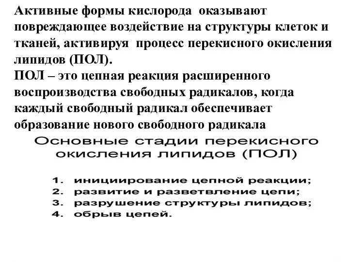 Активные формы кислорода оказывают повреждающее воздействие на структуры клеток и тканей,