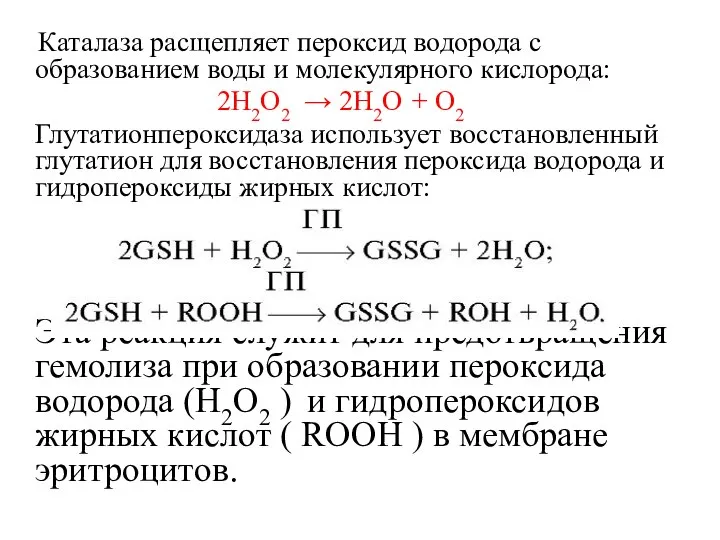 Каталаза расщепляет пероксид водорода с образованием воды и молекулярного кислорода: 2Н2О2
