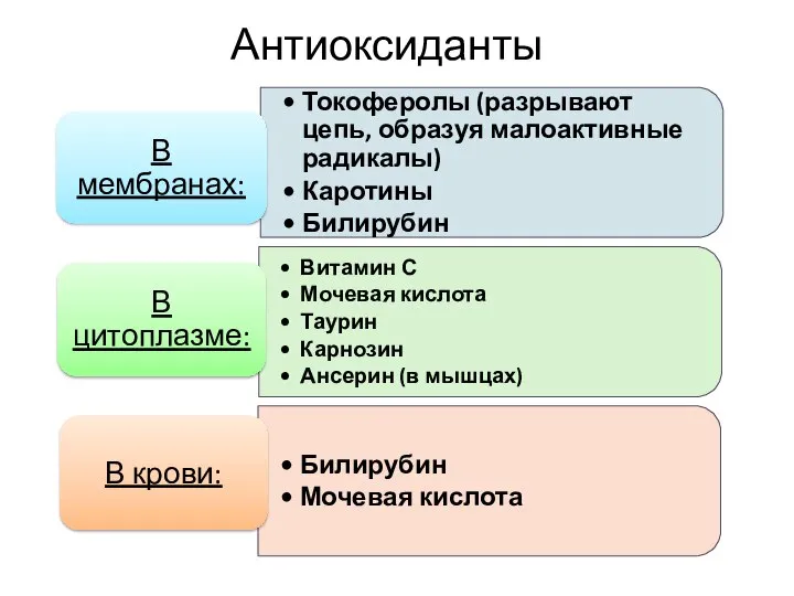 Антиоксиданты