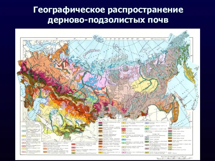 Географическое распространение дерново-подзолистых почв