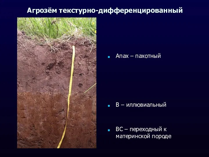 Агрозём текстурно-дифференцированный Апах – пахотный В – иллювиальный ВС – переходный к материнской породе