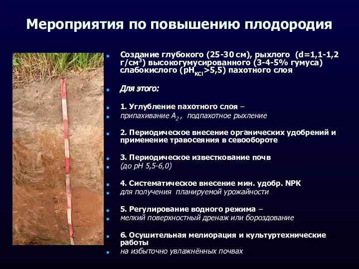 Мероприятия по повышению плодородия Создание глубокого (25-30 см), рыхлого (d=1,1-1,2 г/см3)