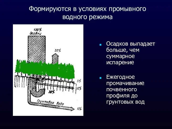 Формируются в условиях промывного водного режима Осадков выпадает больше, чем суммарное