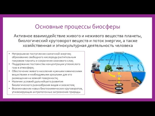 Основные процессы биосферы Активное взаимодействие живого и неживого вещества планеты, биологический