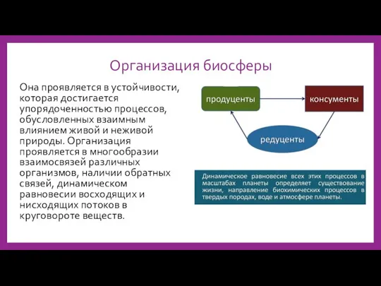 Организация биосферы Она проявляется в устойчивости, которая достигается упорядоченностью процессов, обусловленных