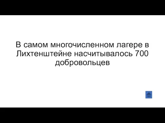 В самом многочисленном лагере в Лихтенштейне насчитывалось 700 добровольцев