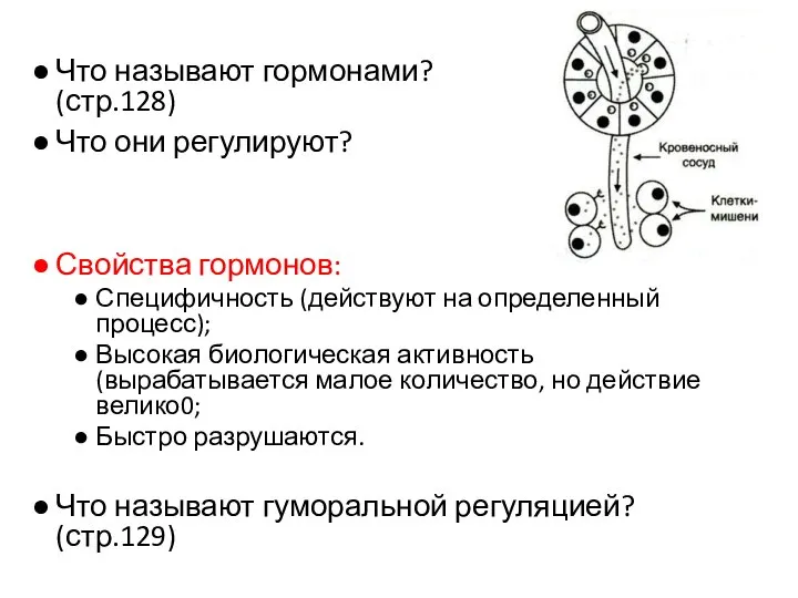 Что называют гормонами? (стр.128) Что они регулируют? Свойства гормонов: Специфичность (действуют