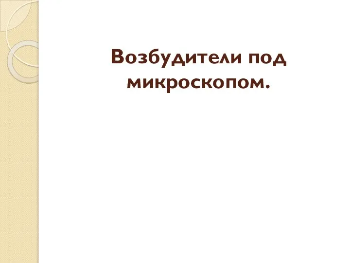 Возбудители под микроскопом.