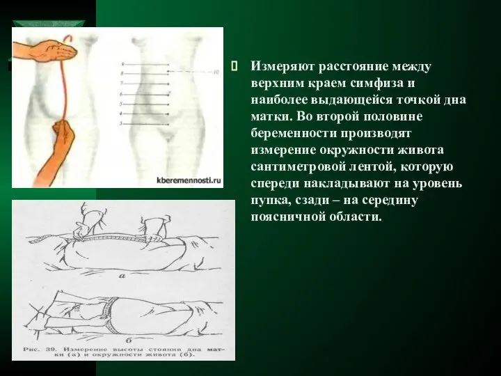 Измеряют расстояние между верхним краем симфиза и наиболее выдающейся точкой дна