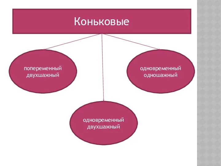 Коньковые попеременный двухшажный одновременный двухшажный одновременный одношажный