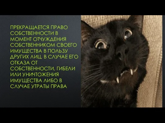 ПРЕКРАЩАЕТСЯ ПРАВО СОБСТВЕННОСТИ В МОМЕНТ ОТЧУЖДЕНИЯ СОБСТВЕННИКОМ СВОЕГО ИМУЩЕСТВА В ПОЛЬЗУ