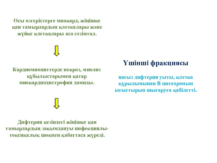 Үшінші фракциясы нағыз дифтерия уыты, клетка құрылымынан B цитохромын ығыстырып шығаруға