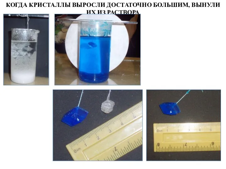 КОГДА КРИСТАЛЛЫ ВЫРОСЛИ ДОСТАТОЧНО БОЛЬШИМ, ВЫНУЛИ ИХ ИЗ РАСТВОРА