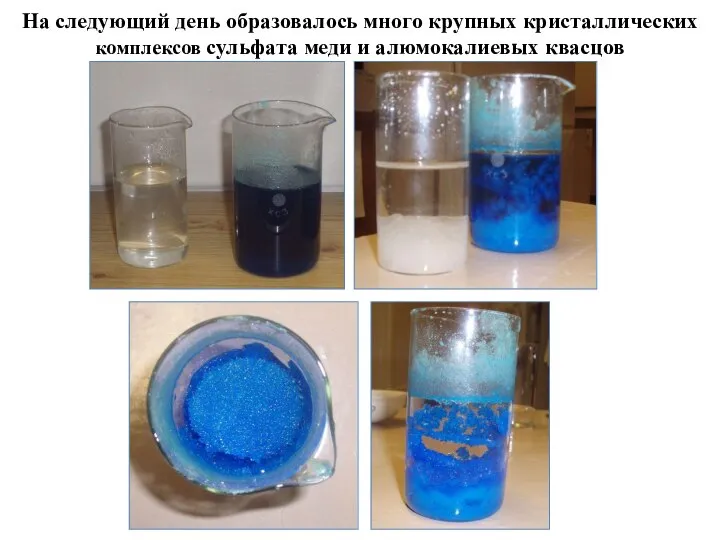 На следующий день образовалось много крупных кристаллических комплексов сульфата меди и алюмокалиевых квасцов