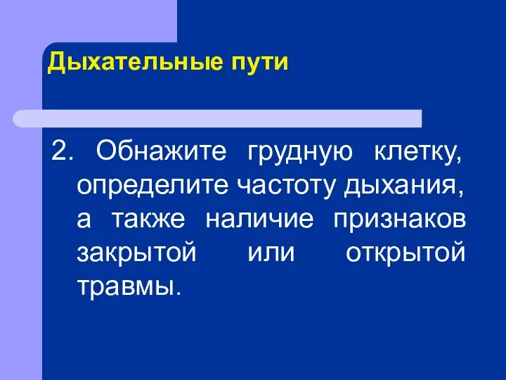 Дыхательные пути 2. Обнажите грудную клетку, определите частоту дыхания, а также