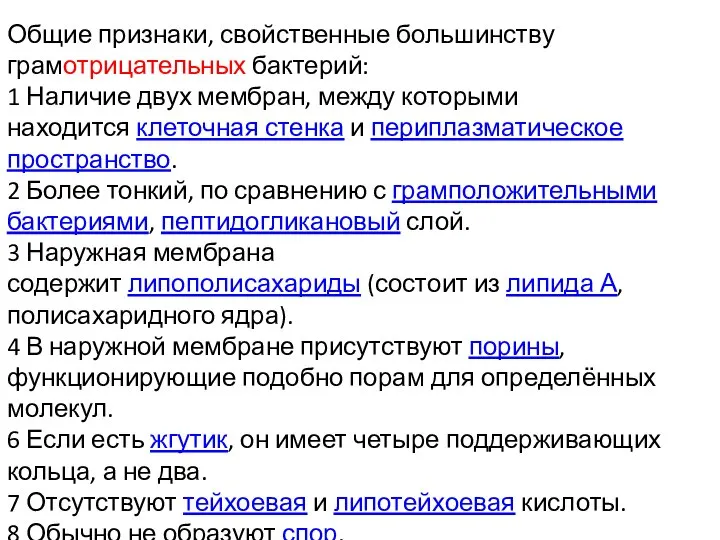 Общие признаки, свойственные большинству грамотрицательных бактерий: 1 Наличие двух мембран, между