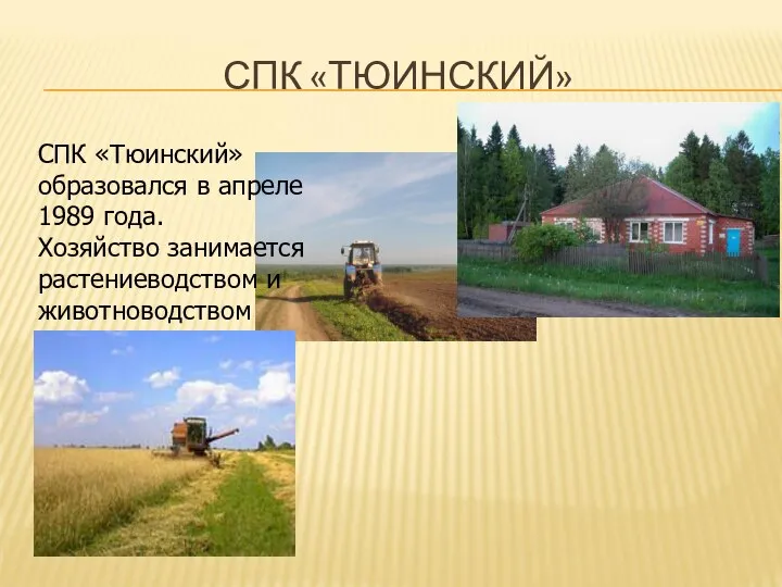 СПК «ТЮИНСКИЙ» СПК «Тюинский» образовался в апреле 1989 года. Хозяйство занимается растениеводством и животноводством