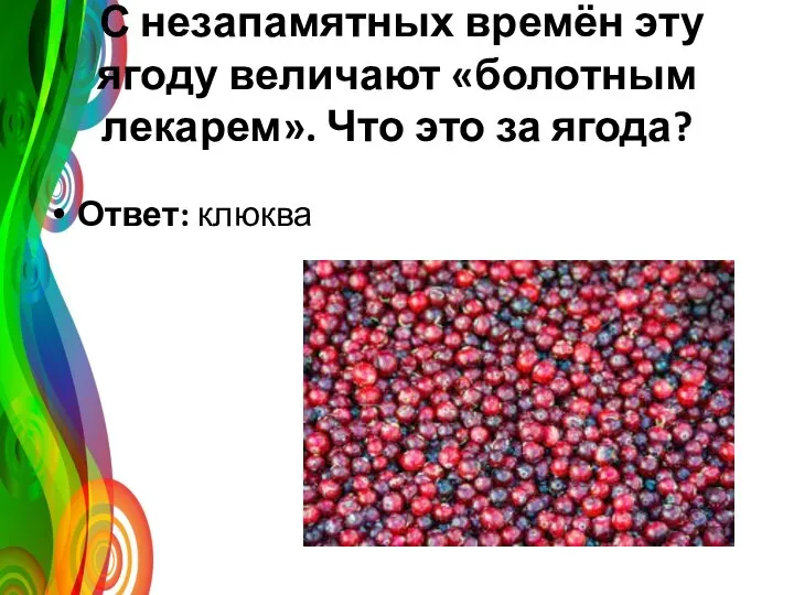 С незапамятных времён эту ягоду величают «болотным лекарем». Что это за ягода? Ответ: клюква