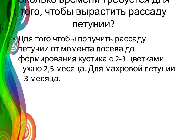 Сколько времени требуется для того, чтобы вырастить рассаду петунии? Для того