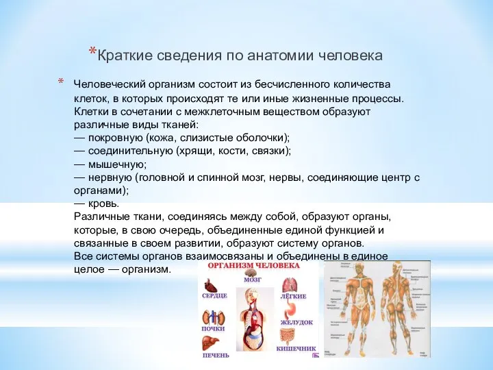 Человеческий организм состоит из бесчисленного количества клеток, в которых происходят те