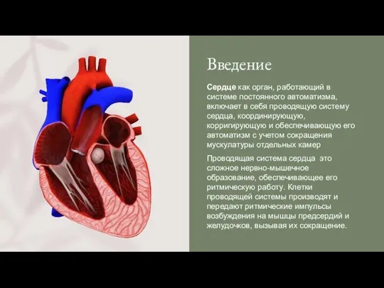 Введение Сердце как орган, работающий в системе постоянного автоматизма, включает в