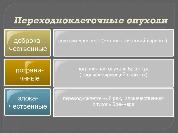 Переходноклеточные опухоли доброка-чественные пограни-чнные пограничная опухоль Бреннера (пролиферирующий вариант) опухоли Бреннера