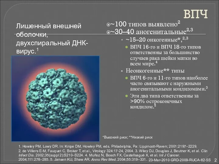 ВПЧ ~100 типов выявлено2 ~30–40 аногенитальные2,3 ~15–20 онкогенные*,2,3 ВПЧ 16-го и