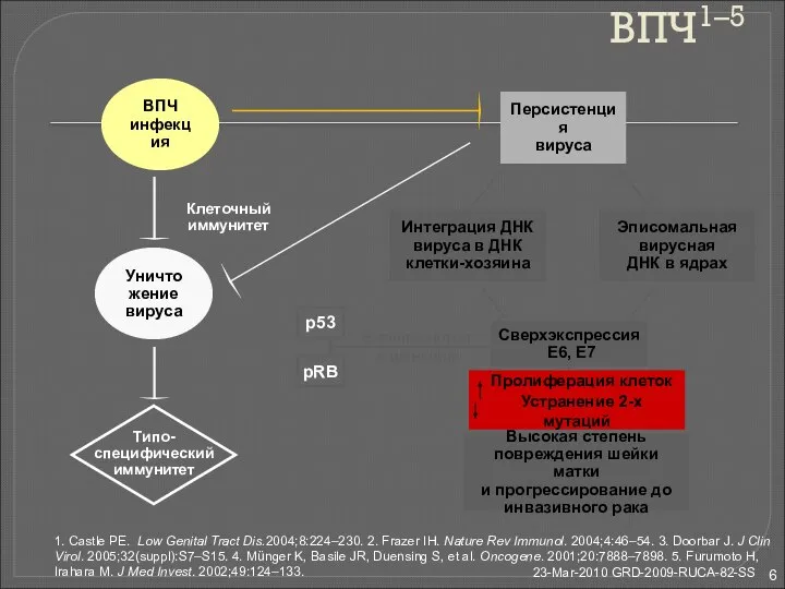 p53 pRB Механизмы карциногенеза ВПЧ1–5 Клеточный иммунитет Персистенция вируса Типо-специфический иммунитет