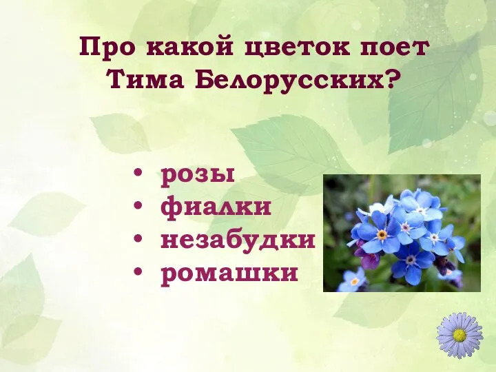 Про какой цветок поет Тима Белорусских? розы фиалки незабудки ромашки