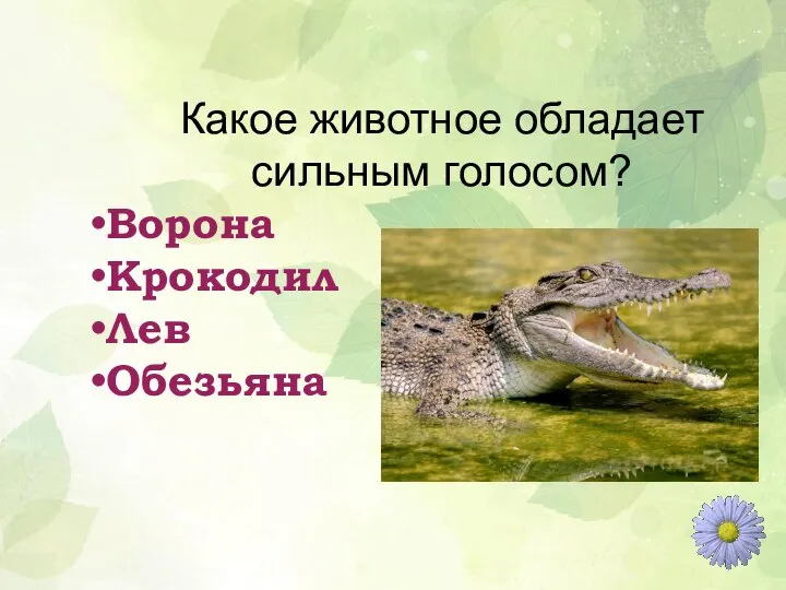 Какое животное обладает сильным голосом? Ворона Крокодил Лев Обезьяна