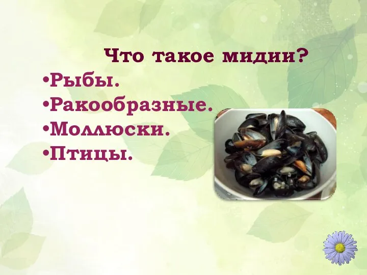 Что такое мидии? Рыбы. Ракообразные. Моллюски. Птицы.