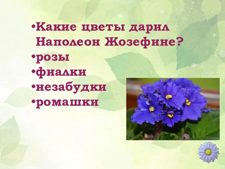 Какие цветы дарил Наполеон Жозефине? розы фиалки незабудки ромашки